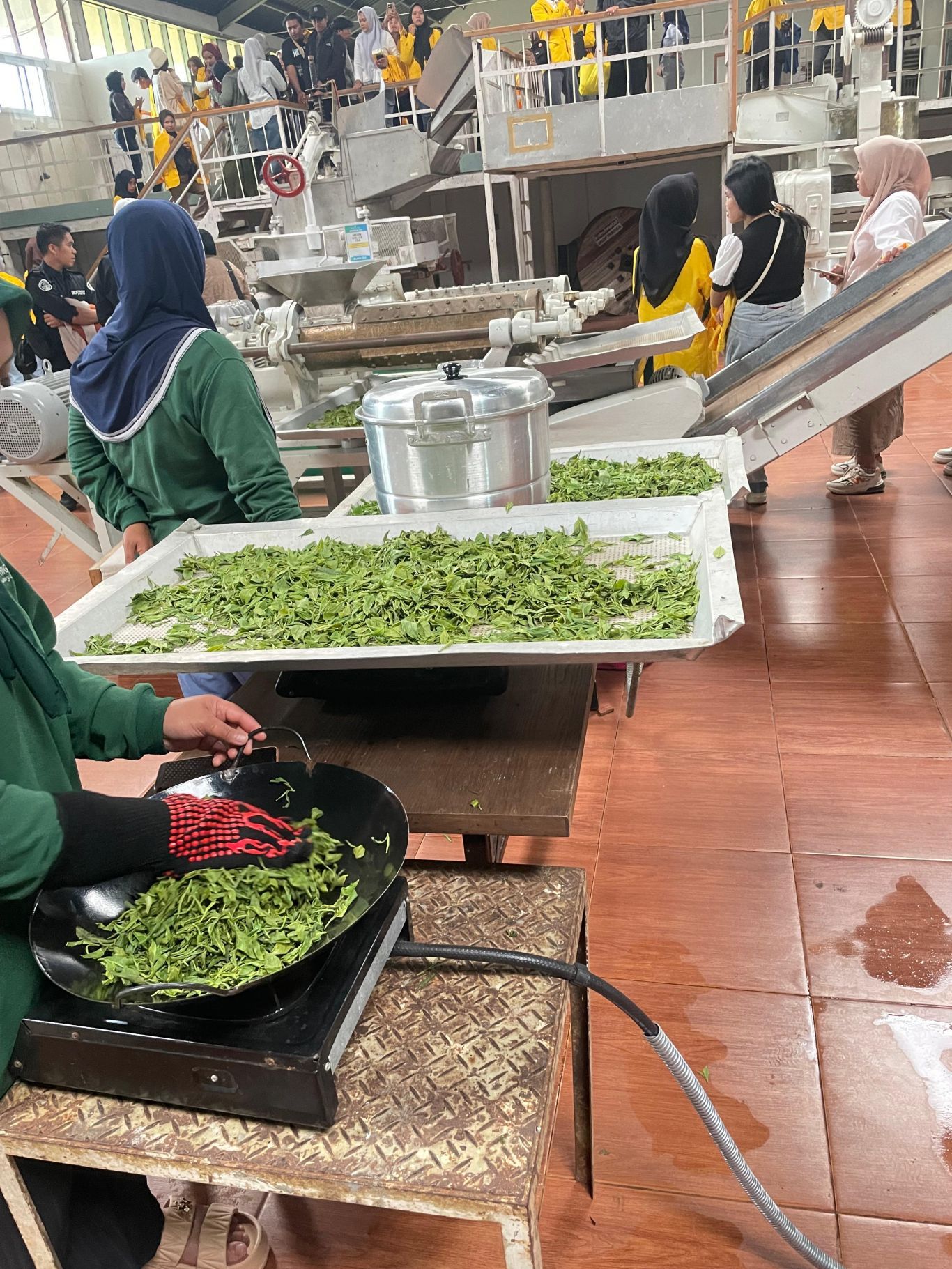 WhatsApp-Image-2025-06-17-at-14.15.32_1