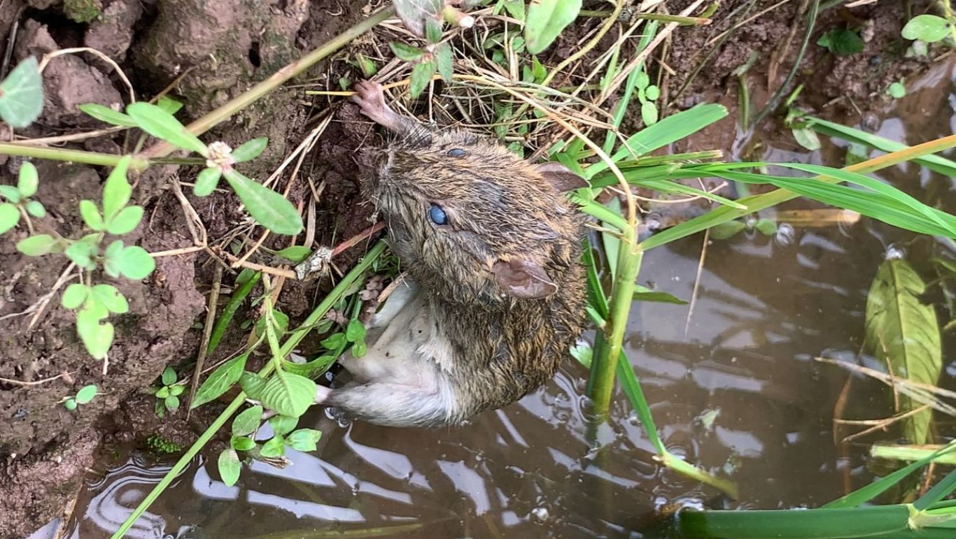 WhatsApp-Image-2026-02-24-at-10.07.06